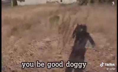 Doggy
