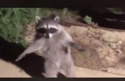 Be cool man