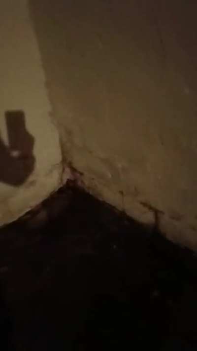 Figured out why the basement gets so wet when it rains (oc)