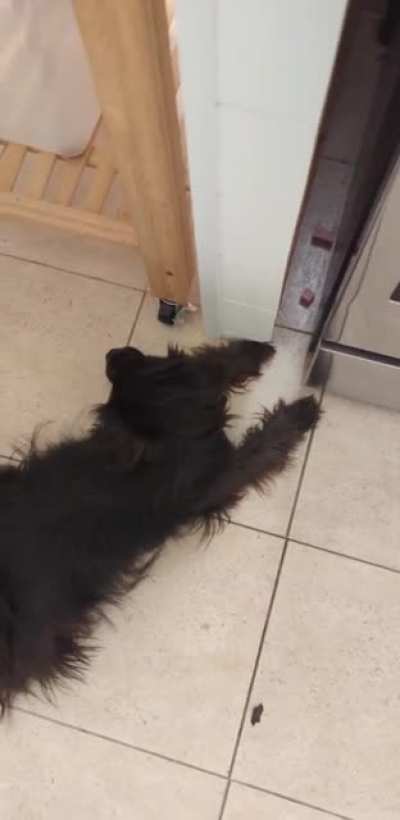 Some tension over spilt spam