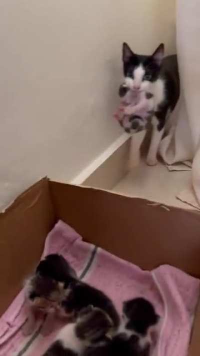 Special delivery