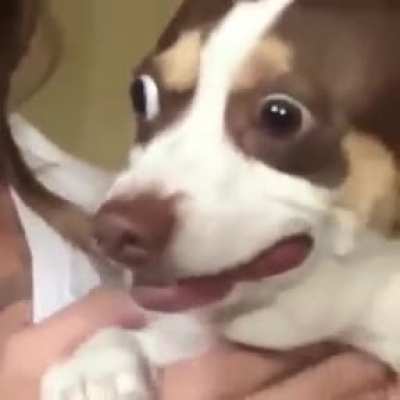 I gotchu on camera