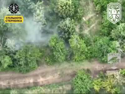 Footage of a Ukrainian FPV quad destroying a Russian 2S34 "Hosta" 120-mm self-propelled howitzer. Russia only has about 50 of those in service. 