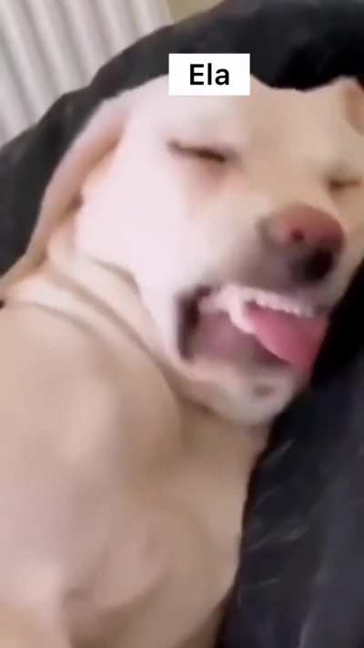 Ela... 😆😆😆