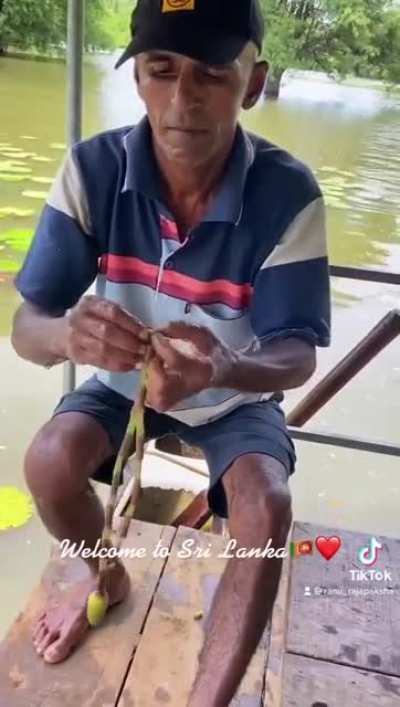 Maybe Maybe Maybe