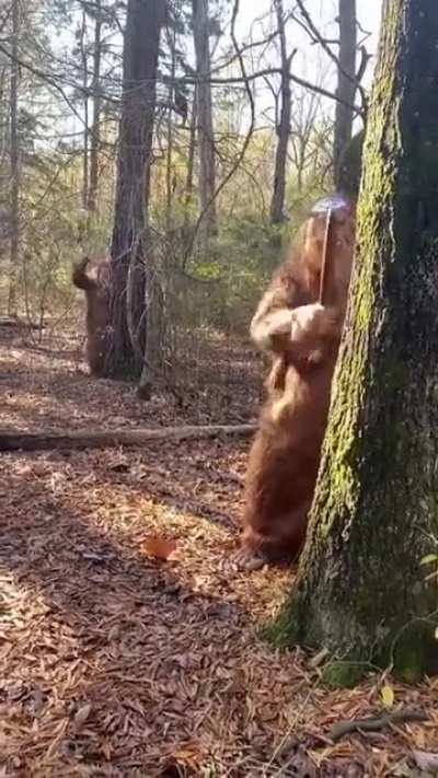 Sasquatch throwing some Rock