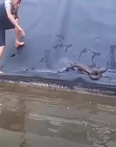 Surprise Motherfucker