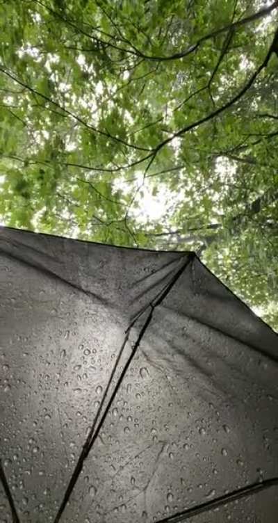 Another thunderstorm today