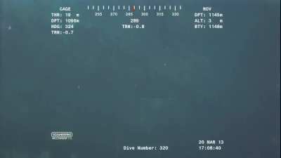 Alien looking creature spot at 3700ft under ocean