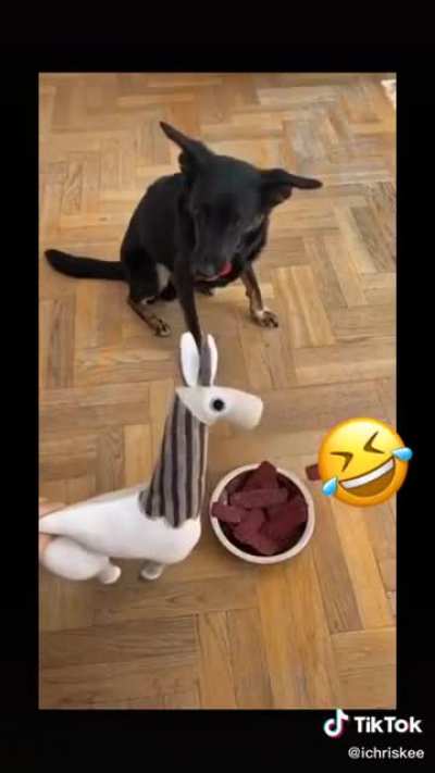 I wasn’t hungry anyway