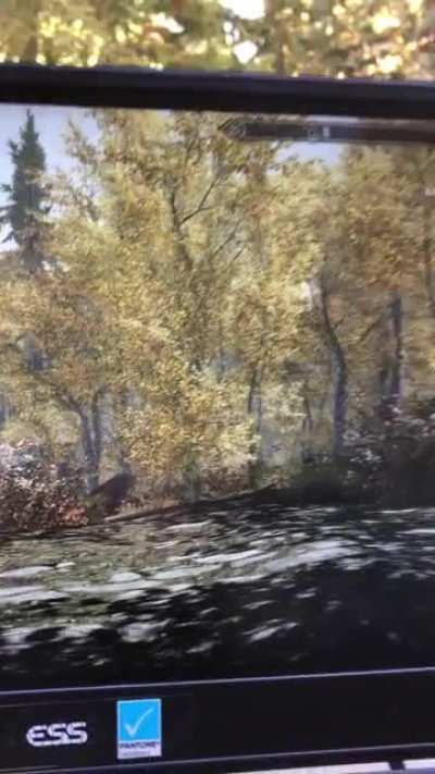 Playing Skyrim while in Skyrim
