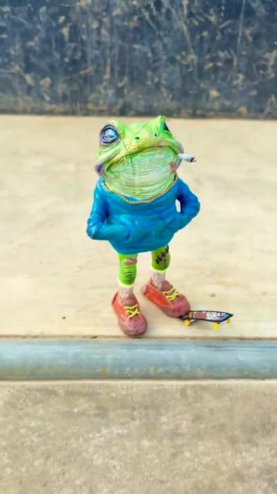 Remy the frog 🛹🐸