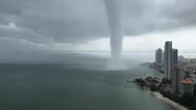Almost doesn't look real...