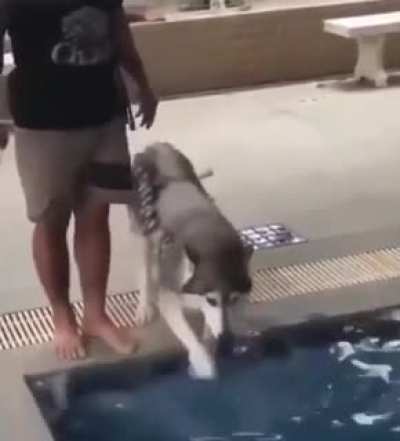 The reluctant swimmer.