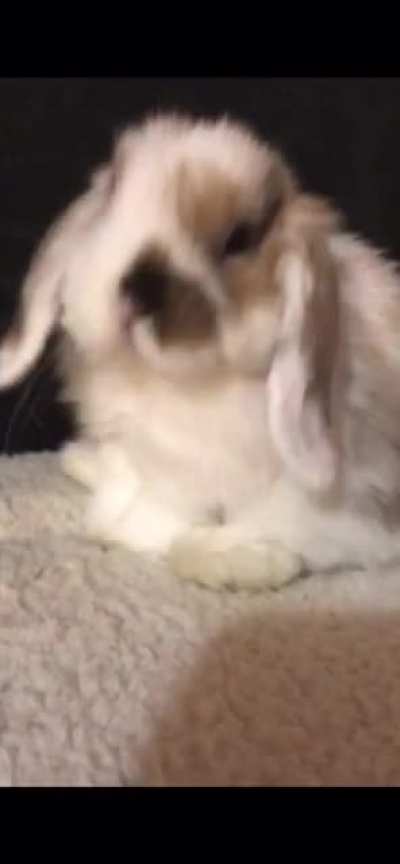 Pippin&rsquo;s little tongue