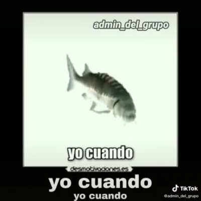 Yo cuando
