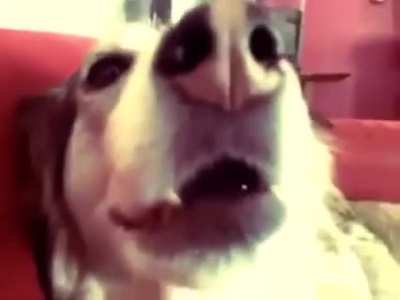 Uooaaaaaa