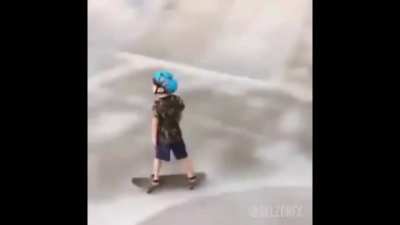 Fly