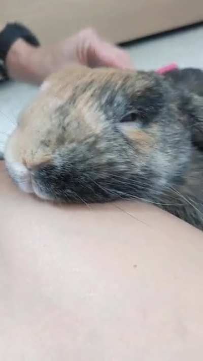 Bun Moments &hearts;️