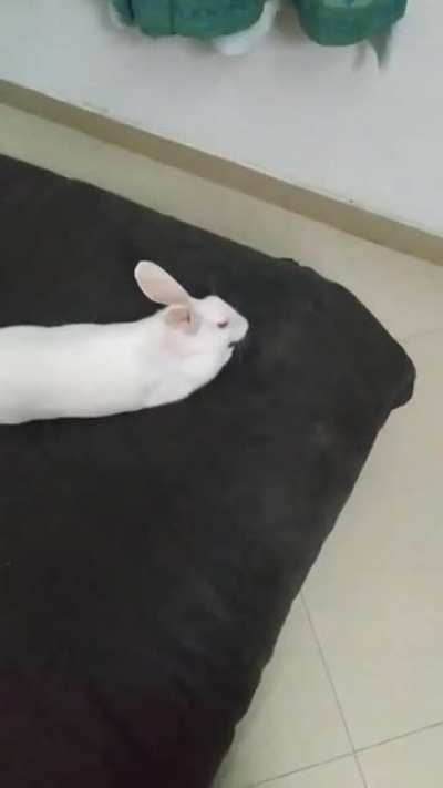 I'mma lick this bed