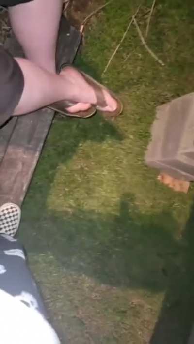 moth huntin'