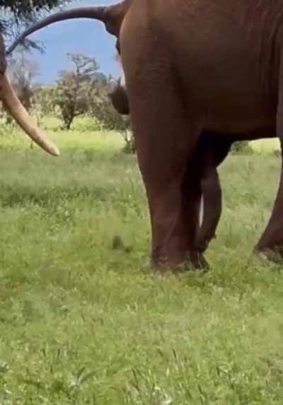 Maybe maybe maybe