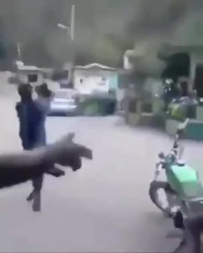 What the fxck did I just watch?