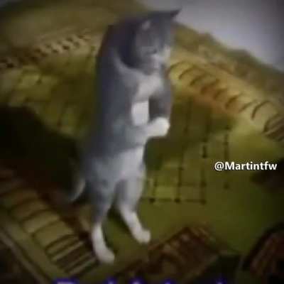 HARAMMM