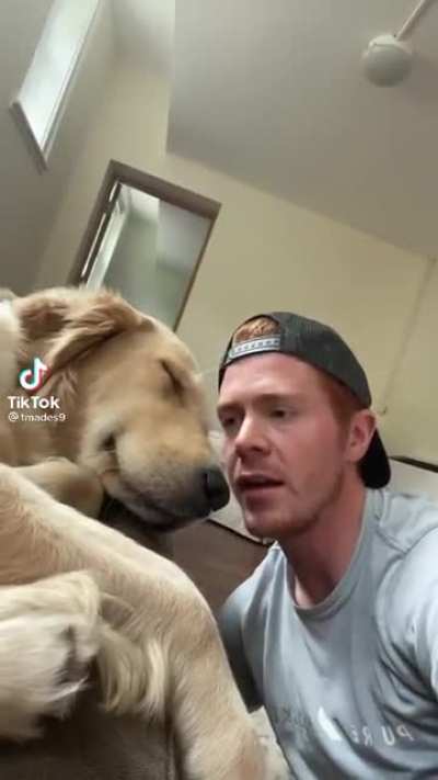 He&rsquo;s always trolling his dog