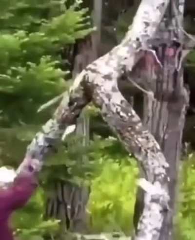 hmm