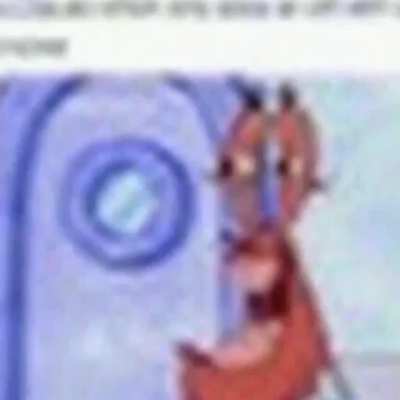 look at this funny meme I found guys