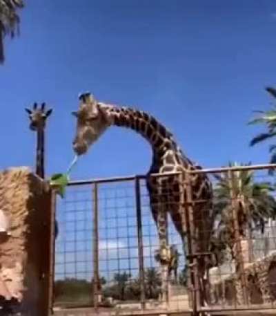 Just fucking let go