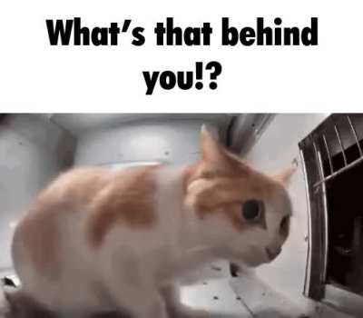 uh oh