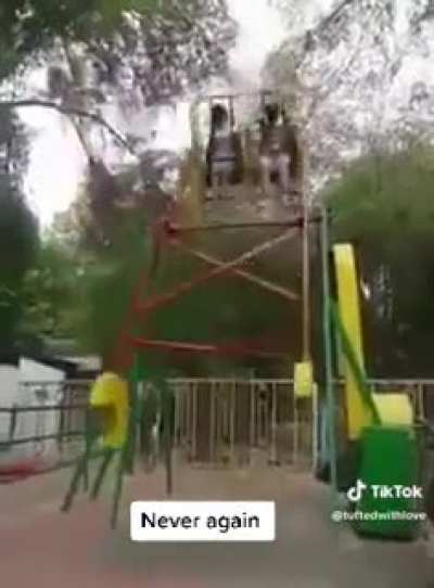 One wild amusement park ride.