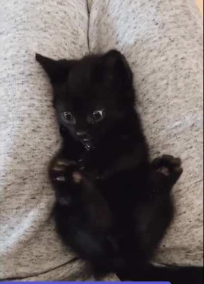 There&rsquo;s a foot? There&rsquo;s another foot? What?