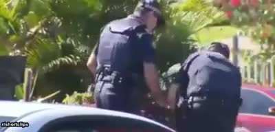 Karen hitting a cop with dog poo