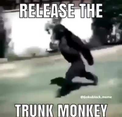 Pog
