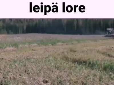 min&auml;🍞irl