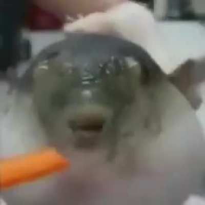 Blursed Singer