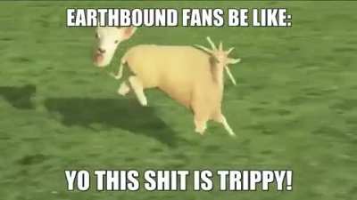 A phase per fan
