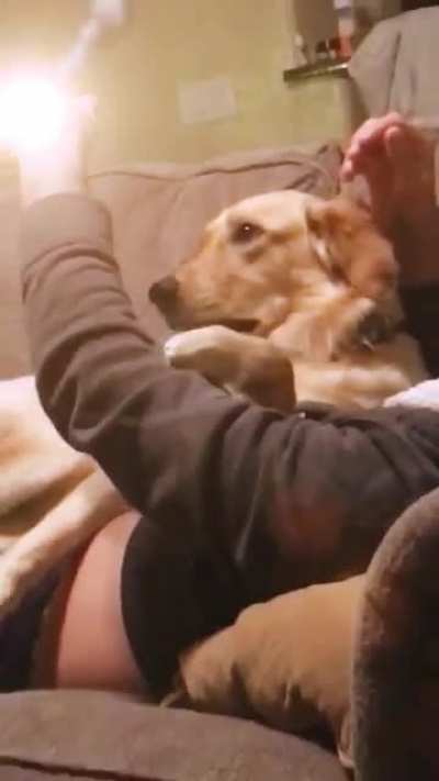 Nuked doggo