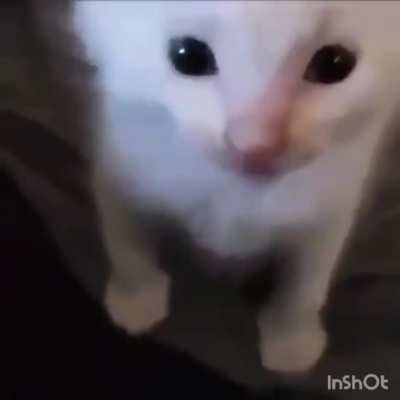 xd