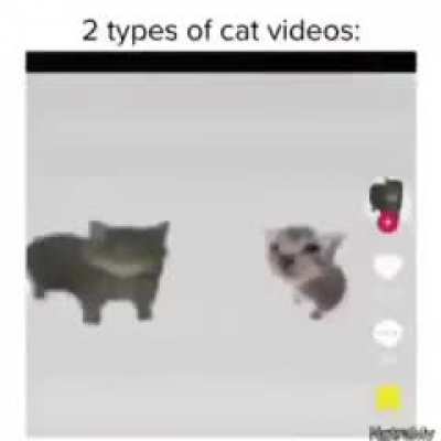 fr