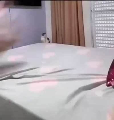 Maybe maybe maybe 