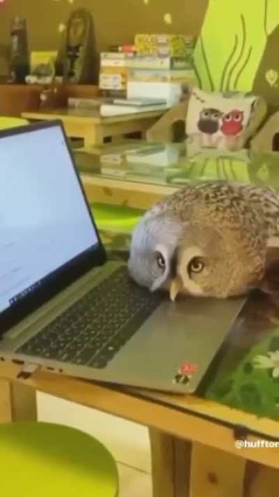 Ну обними меня, милый!