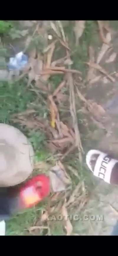 HMFT after I&rsquo;m knocked unconscious because of a failed voodoo ritual.