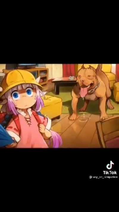 xd