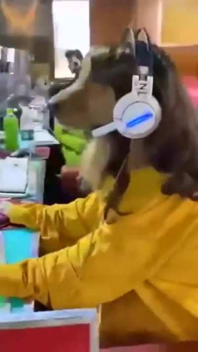 Gamer "girl"