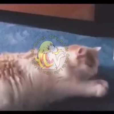 Desculpa, o &aacute;udio do meme t&aacute; com uma qualidade baixa