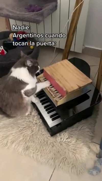 El michi sabe que lo hicieron al menos una vez